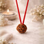 Original Nepali 5 Mukhi Rudraksha