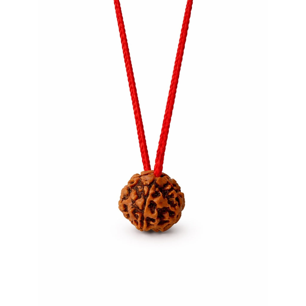 Original Nepali 5 Mukhi Rudraksha