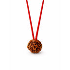 Original Nepali 5 Mukhi Rudraksha