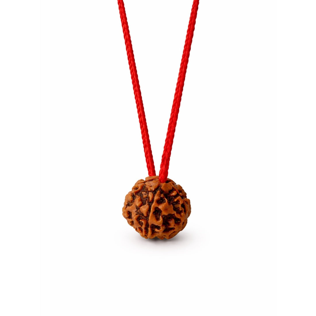 Original Nepali 5 Mukhi Rudraksha