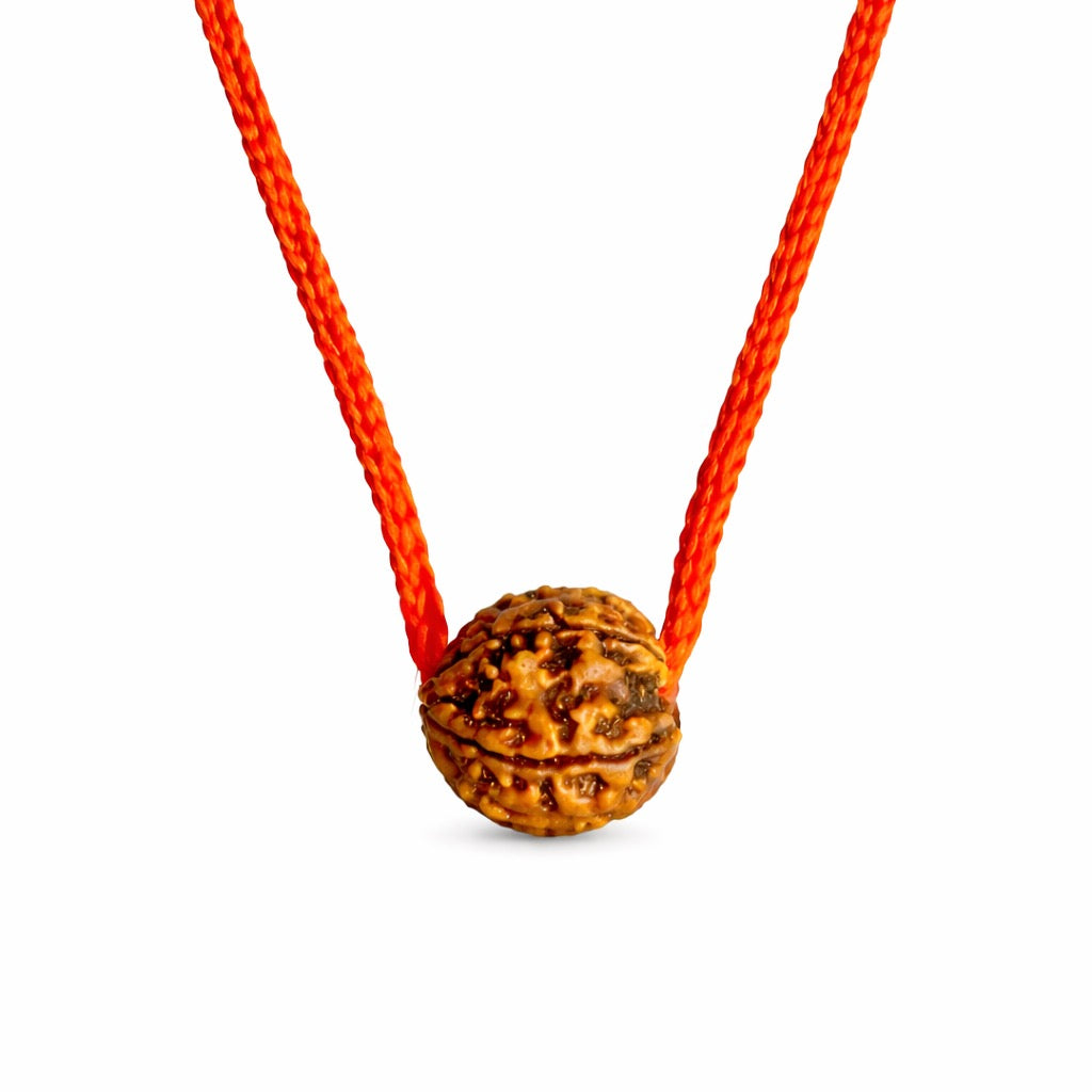 Ghar Ghar Panchmukhi – 5 Mukhi Rudraksha