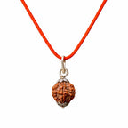 Original 7 Mukhi Nepali Rudraksha