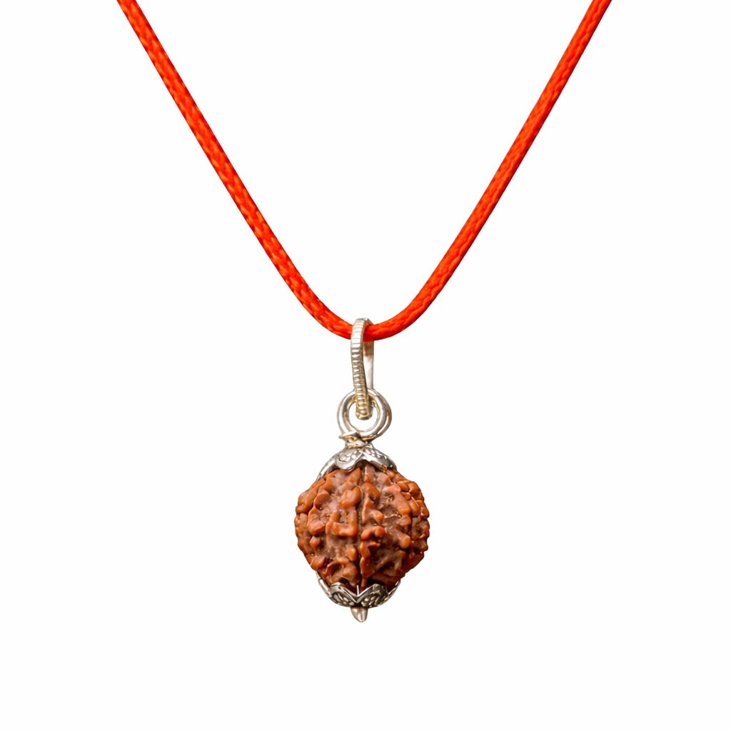 Original 7 Mukhi Nepali Rudraksha